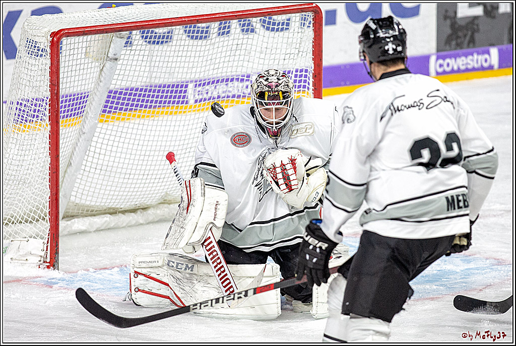 DEL; Koelner Haie - Thomas Sabo Ice Tigers Nuernberg, 19.02.2019